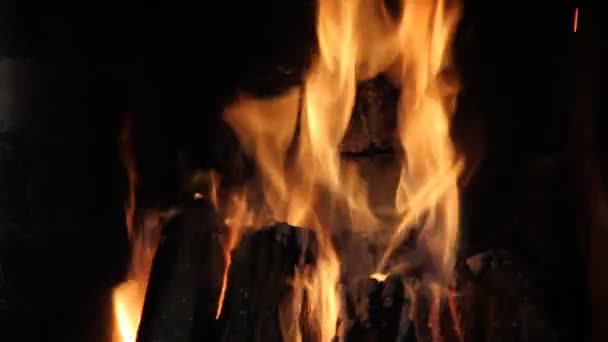 Feuer Kamin Brennender Baum — Stockvideo