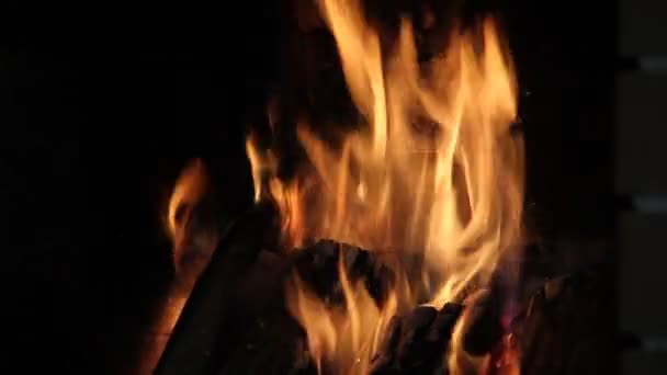 Şöminede Yangın Var Yanan Ağaç — Stok video