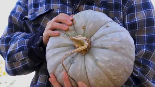 Großer Schöner Kürbis Den Händen Eines Mädchens Gegen Den Himmel — Stockvideo