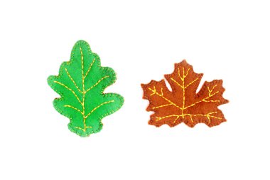 Beyaz arka planda meşe ve akçaağaç yaprağı. El yapımı sonbahar yaprakları. Keçe yaprakları. Yeşil meşe yaprağı. Kahverengi akçaağaç yaprağı