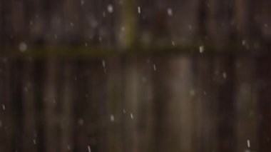 Karlı bir gün. Bulanık kış geçmişi. Kar rüyası. Kış soğuğu