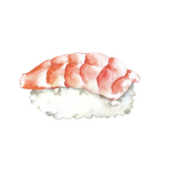 Akvarel Ilustrace Krevety Sushi Izolované — Stock fotografie