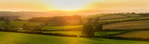 畑の夕日 ベリー ポメロイ村デヴォン州 イギリス ヨーロッパ — ストック写真