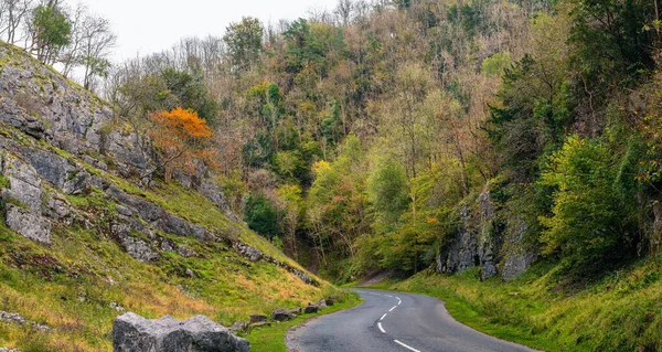 Cheddar Gorge Reserva Natural Black Rock Cheddar Somerset Inglaterra Europa — Fotografia de Stock