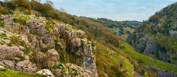 Cheddar Szurdokban Black Rock Természetvédelmi Terület Cheddar Somerset Angliában Európában — Stock Fotó