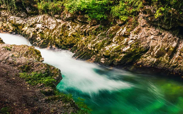 Radovna Floden Vintgar Gorge Slovenien Europa — Stockfoto