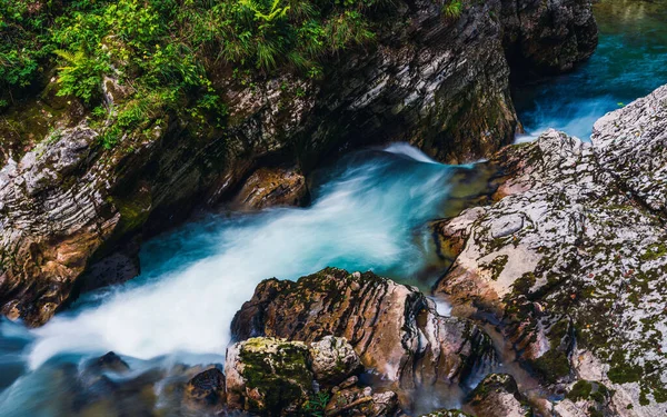 Radovna Floden Vintgar Gorge Slovenien Europa — Stockfoto