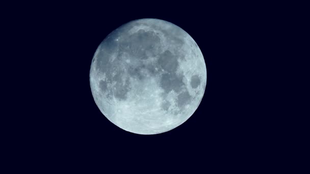 하늘에 보름달 — 비디오