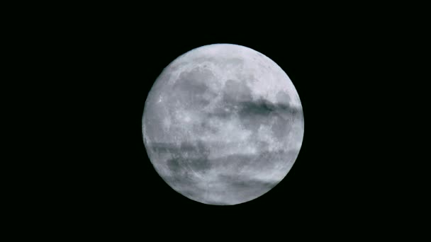 Film Nuages Pleine Lune Dans Ciel Noir — Video