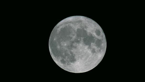 Film Della Luna Piena Nel Cielo Nero — Video Stock