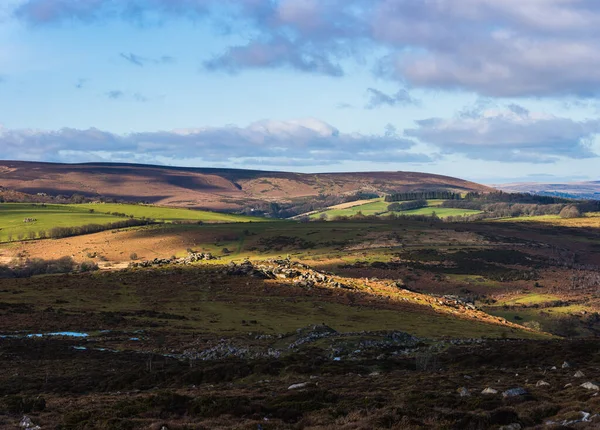 Haytor Rocks Dartmoor Park Devon England Europe — Stock Photo, Image