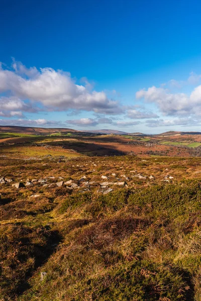 Haytor Rocks Dartmoor Park Devon Angleterre Europe — Photo