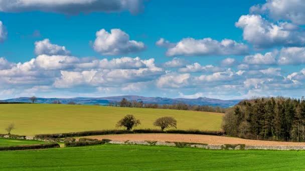 Campos Prados Sobre English Village Devon Inglaterra Europa — Vídeo de Stock