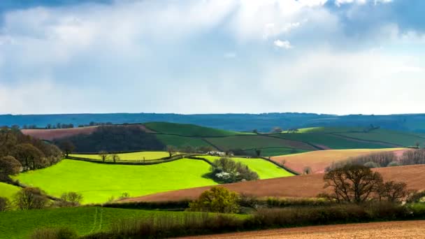 Fält Och Ängar Över English Village Devon England Europa — Stockvideo