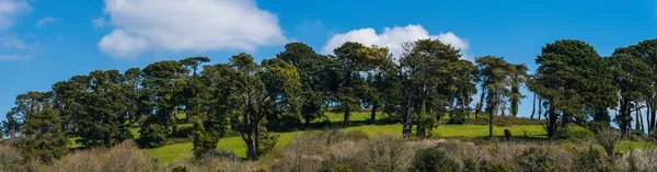 Truro Cricket Club Boscawen Park Truro Cornwall Engeland — Stockfoto