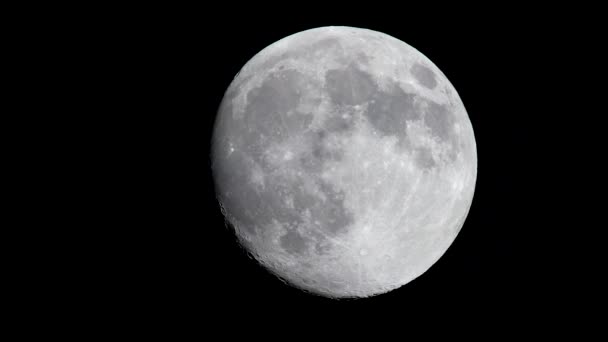 Película Luna Llena Cielo Negro — Vídeos de Stock