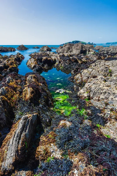 Cliffs Rocks Bantham Beach Kingsbridge Devon Inghilterra — Foto Stock