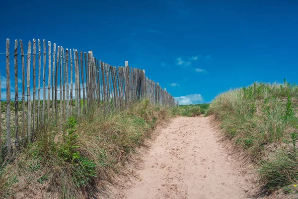 Dunes Bantham Beach Kingsbridge Devon England — Stock Photo, Image