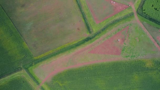 Villages Fields Drone Devon Inglaterra Europa — Vídeos de Stock