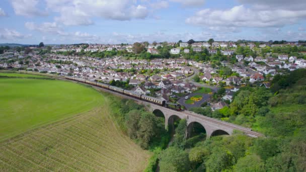 Paignton Till Dartmouth Steam Train Broadsands Beach Paignton Devon England — Stockvideo