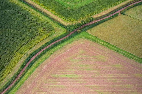 Villages Fields Drone Devon Inglaterra Europa —  Fotos de Stock