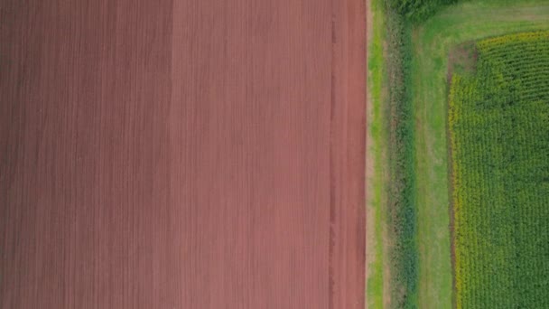 Field Work Tractor Drone Devon England Europe — Stock Video