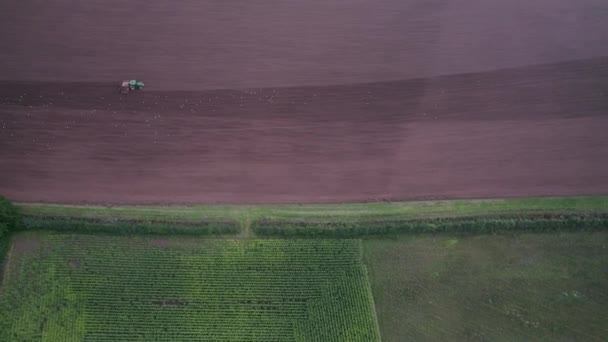 Fältarbete Traktor Från Drönare Devon England Europa — Stockvideo