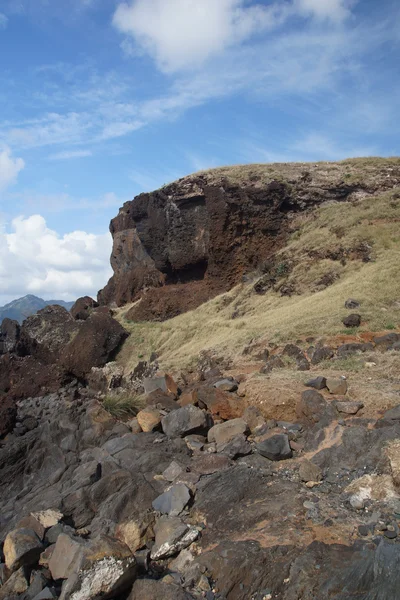 Kanisch, madeira, portugal, europa — Stockfoto