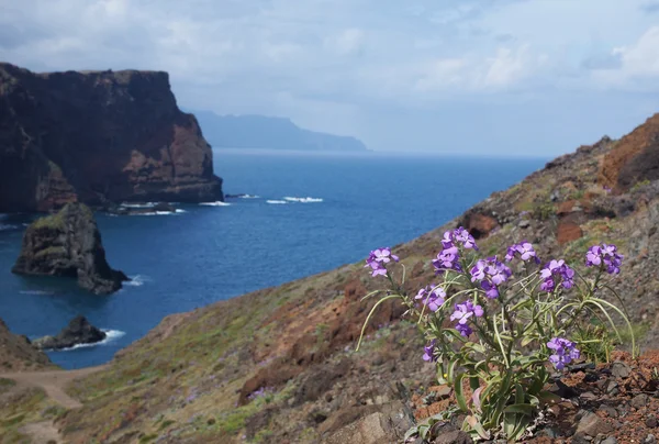 Il sentiero per il Capo di Ponta de Sao Lourenco, Madeira, Portogallo, Europa — Foto Stock