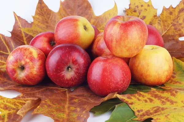 Apple, appels, fruit — Stockfoto
