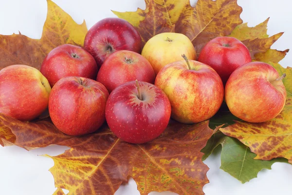 Apple, appels, fruit — Stockfoto