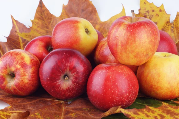 Jablko, jablka, ovoce — Stock fotografie