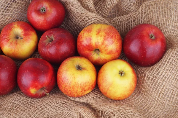 Jablko, jablka, ovoce — Stock fotografie