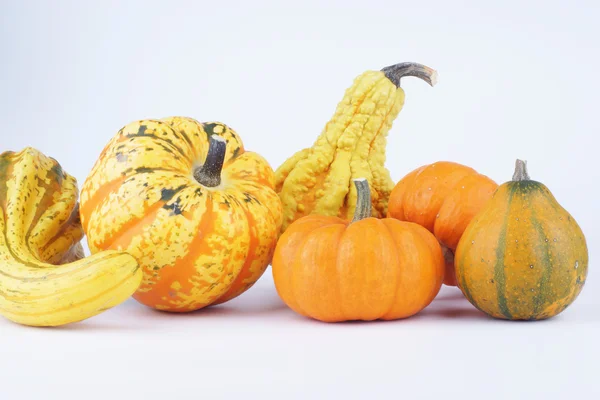 Pumpkin, Pumpkins, Vegetables — Stock Photo, Image