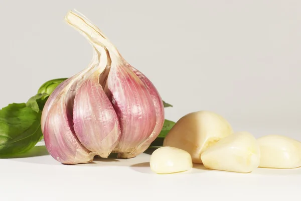 Knoblauch, Gemüse — Stockfoto