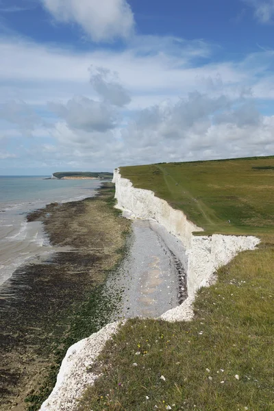 Cliff Edge, Seaford, Inglaterra, Reino Unido, EUROPA — Foto de Stock