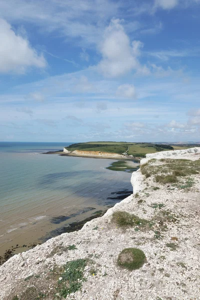 Krawędzi klifu, seaford, Anglii, Wielkiej Brytanii, Europy — Zdjęcie stockowe