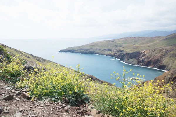 Cape Avrupa ponta de sao lourenco, madeira, Portekiz için iz — Stok fotoğraf