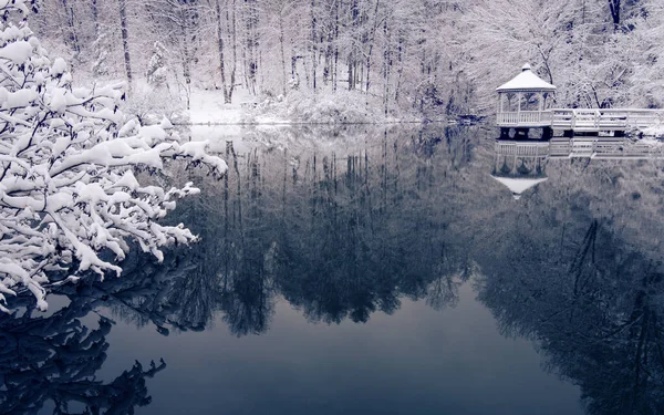 Een Rustige Winterse Scène Met Verse Sneeuw Stroomde Bomen Rond — Stockfoto