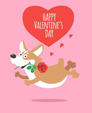 Tatlı bir Corgi köpeği ağzında bir gülle koşar. Sevgililer günün kutlu olsun. Çizgi film vektör kartı.