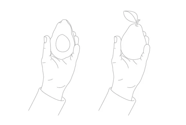 Mano sosteniendo una mitad de aguacate y pera, dibujo ilustración lineal dibujada a mano, mano masculina mostrando la fruta, dos objetos — Vector de stock