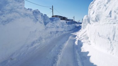 Kenarları karla kaplı. Kuzey Kutbu 'ndaki Karlı Yol