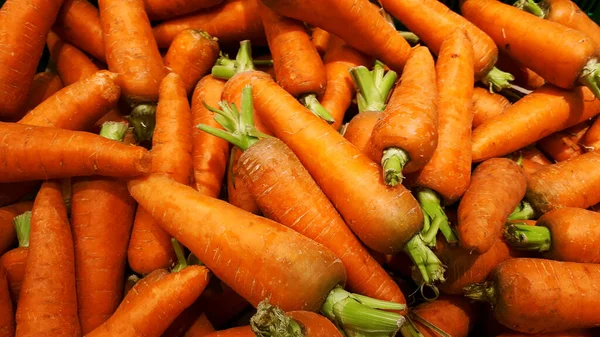 Grupo Zanahorias Primer Plano Zanahorias Textura Zanahorias Orgánicas Frescas Manojo —  Fotos de Stock