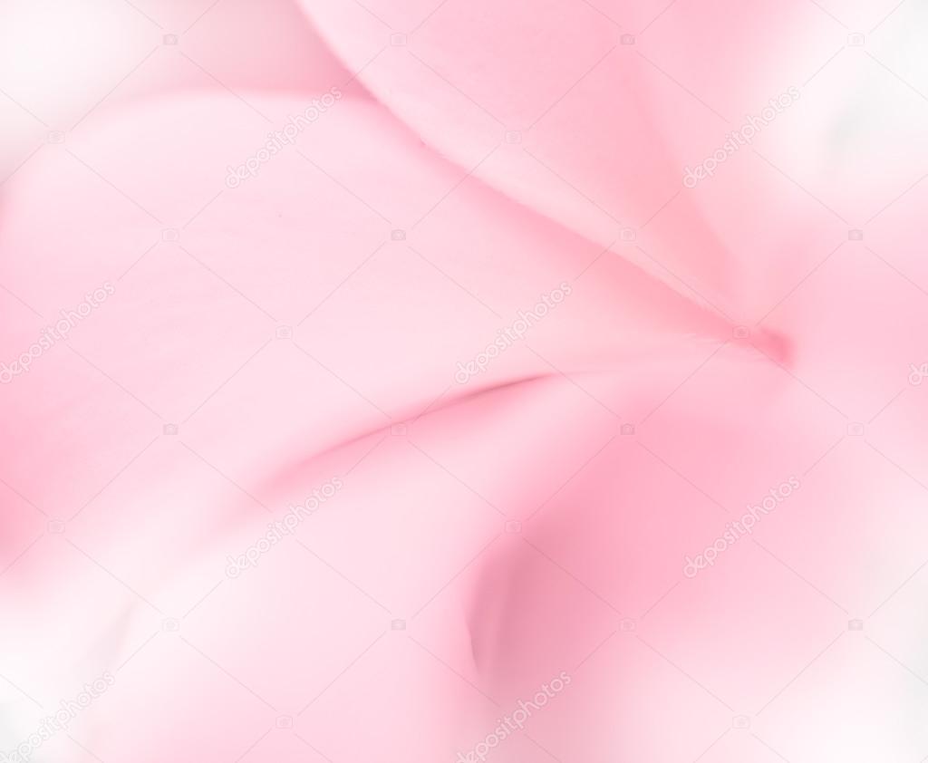 Sweet flowers petal in soft style for background