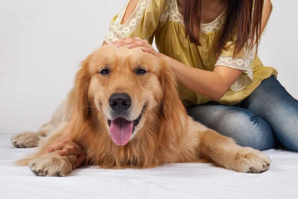 Femme avec son beau chien couché en studio — Photo