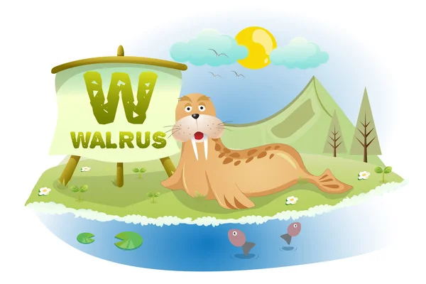 Funny Cartoon Alphabet W With Walrus — Stock Vector