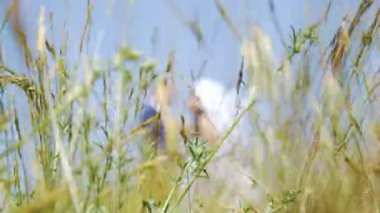 Çim bir alana gelin