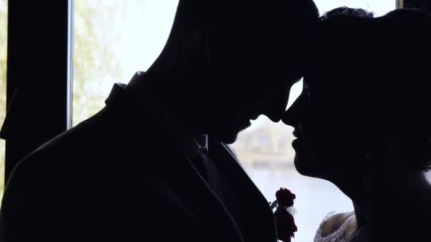 Силуети нареченого і нареченого в залі перед вікном — стокове відео