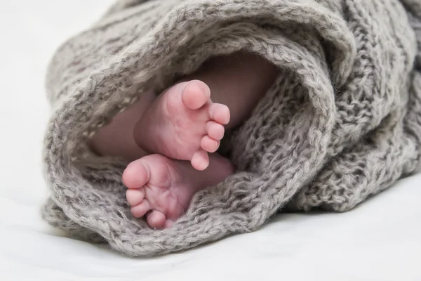 Pies de bebé aislados bajo cubierta de manta — Foto de Stock