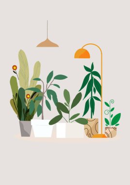 Çiçekçi. Farklı evler, açık hava bitkileri ve raflardaki ağaçlar. Tarım işçisi hobisi, bahçe dükkanı illüstrasyonu. Kesme Yolu